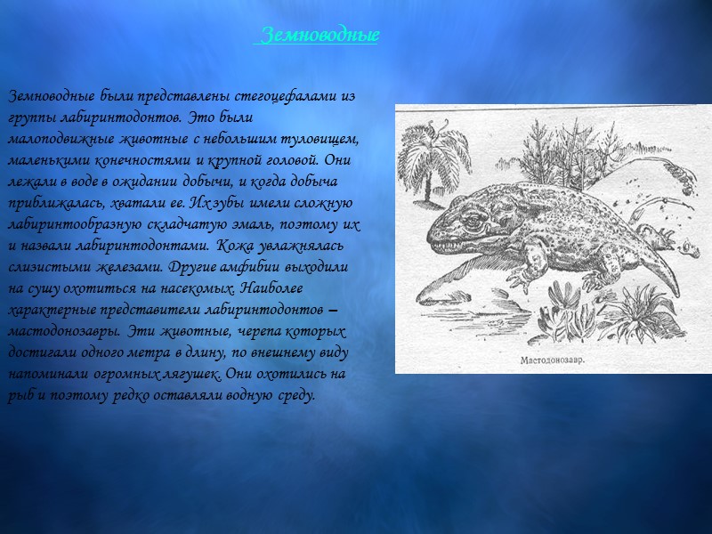 Земноводные были представлены стегоцефалами из группы лабиринтодонтов. Это были малоподвижные животные с небольшим туловищем,